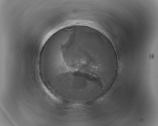X0000112831525200908211205