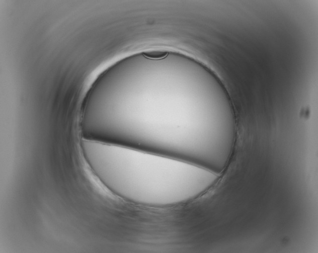 X0000112831526200908211205