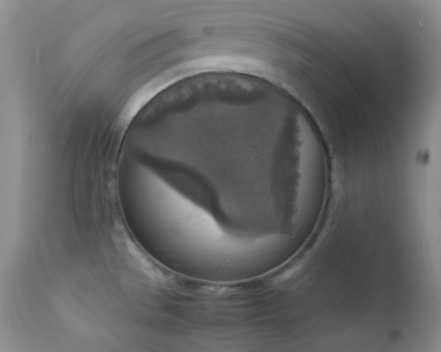 X0000112831529200908211205