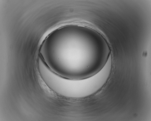 X0000112831530200908211205
