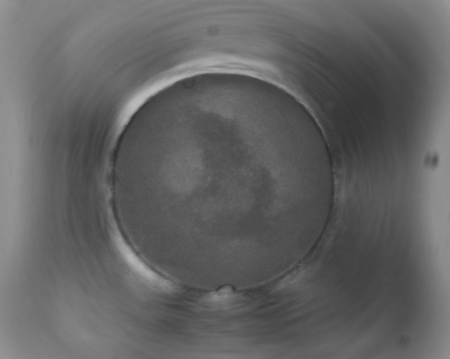 X0000112831531200908211205