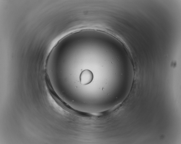 X0000112831532200908211205