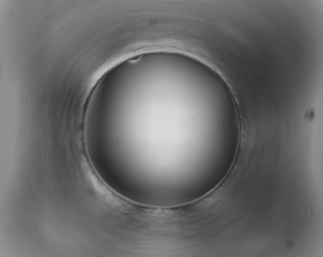 X0000112831534200908211205