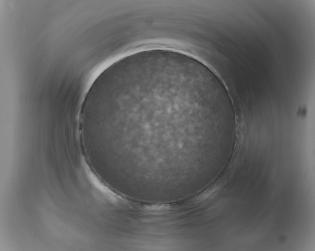 X0000112831535200908211205