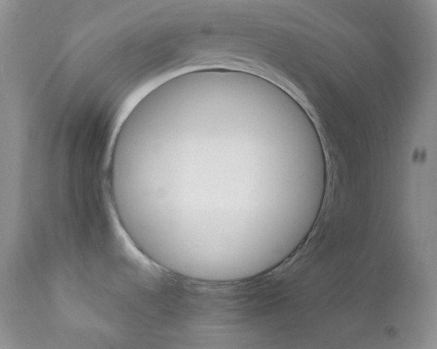 X0000112831536200908211205