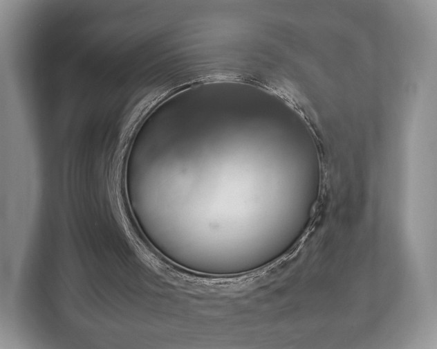 X0000112830001200908281541