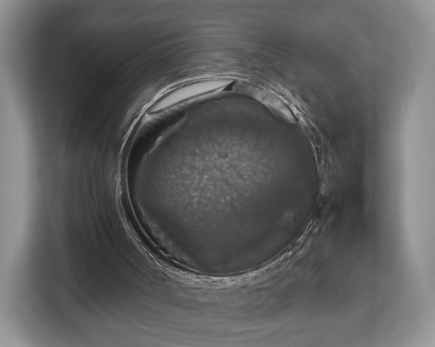 X0000112830002200908281541