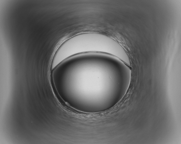 X0000112830003200908281541