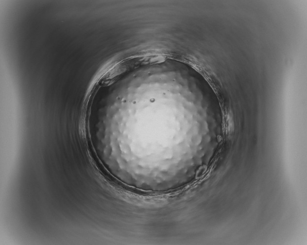 X0000112830004200908281541