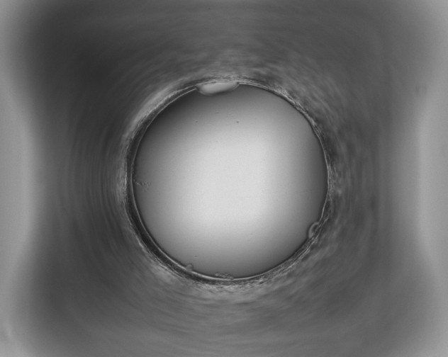 X0000112830005200908281541