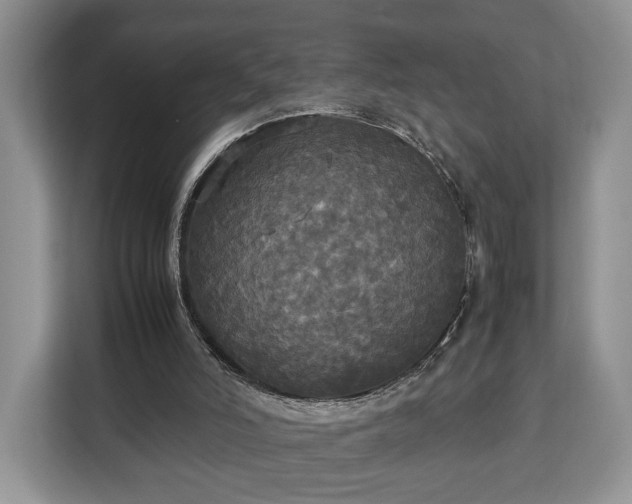 X0000112830006200908281541