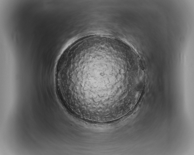 X0000112830008200908281541