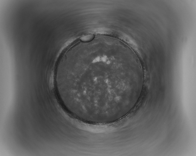 X0000112830012200908281541