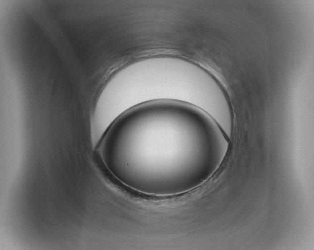 X0000112830013200908281541