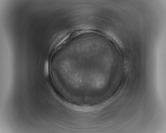 X0000112830014200908281541