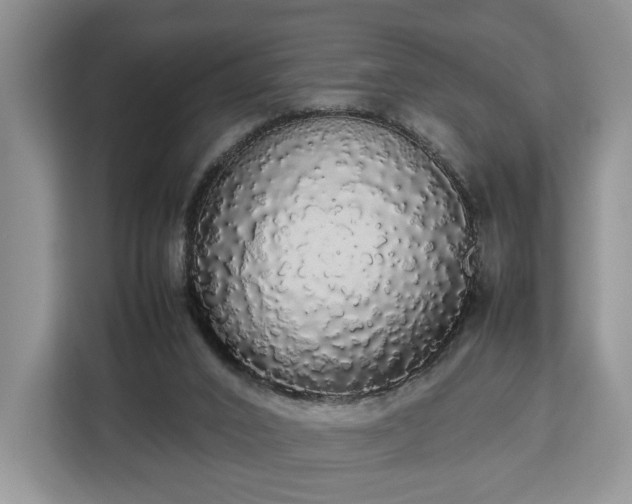 X0000112830016200908281541