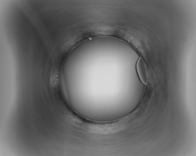 X0000112830017200908281541