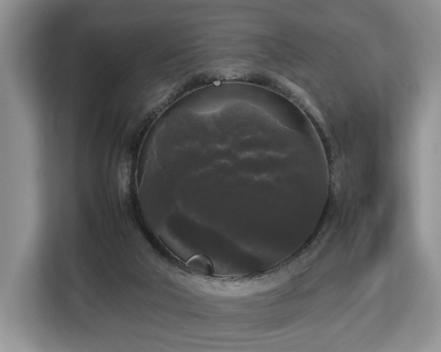 X0000112830018200908281541