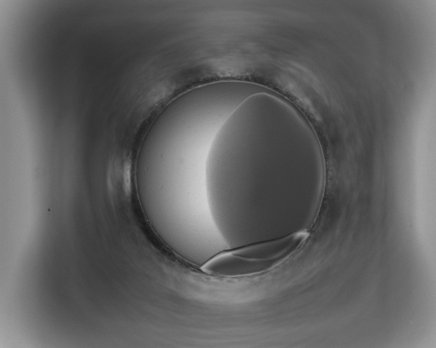 X0000112830019200908281541