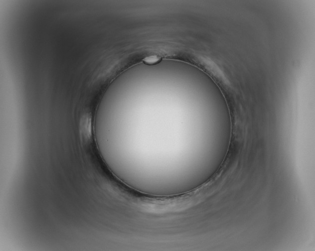 X0000112830021200908281541