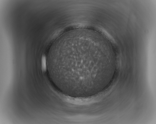 X0000112830022200908281541