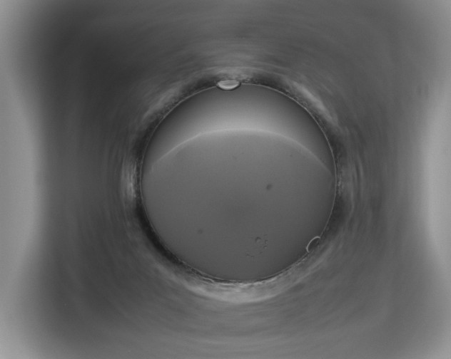 X0000112830023200908281541