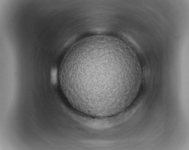 X0000112830024200908281541