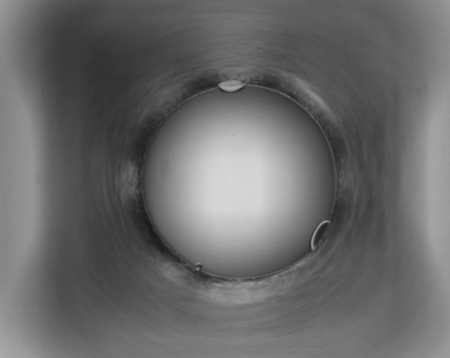 X0000112830025200908281541