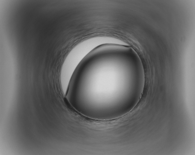 X0000112830029200908281540