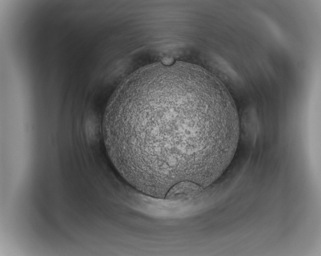 X0000112830034200908281540