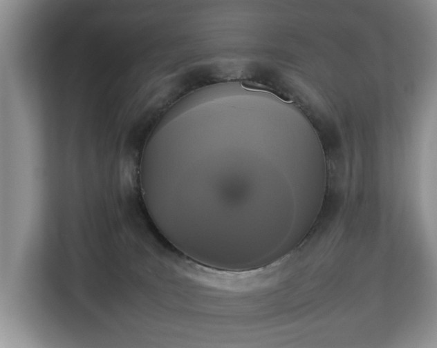 X0000112830035200908281540