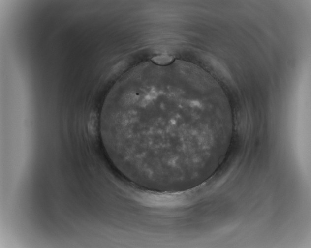 X0000112830036200908281540