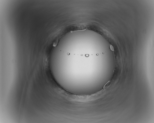 X0000112830037200908281540