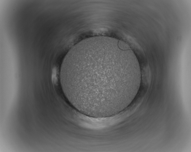 X0000112830038200908281540