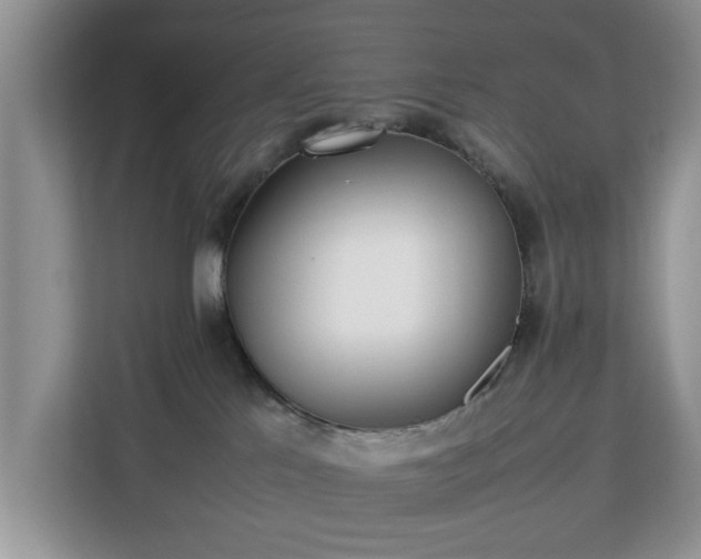 X0000112830041200908281540