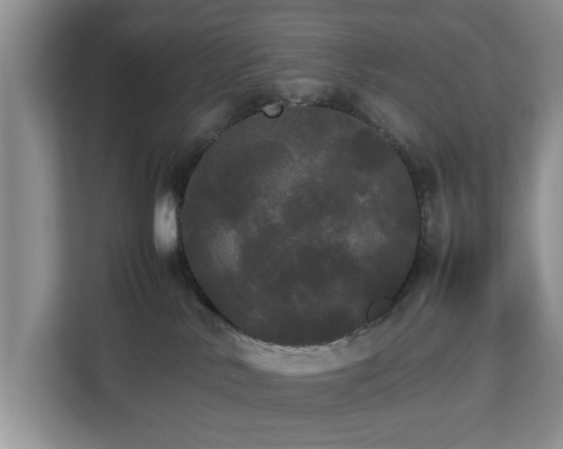 X0000112830042200908281540