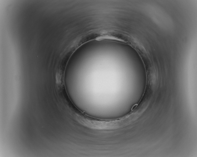 X0000112830044200908281540