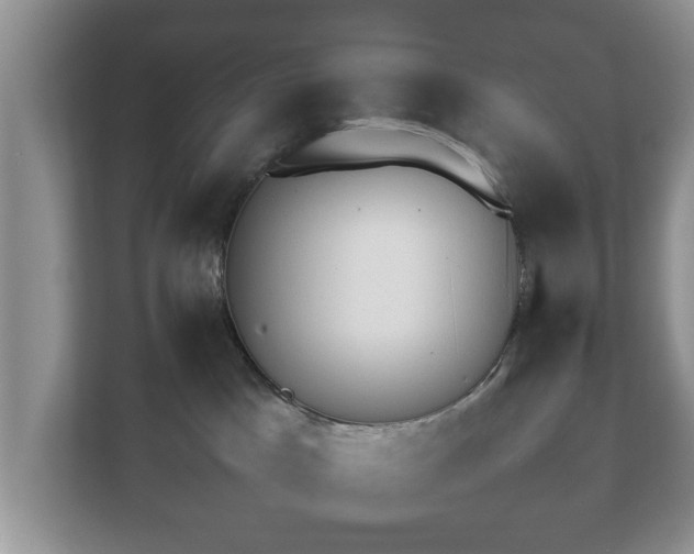 X0000112830045200908281540