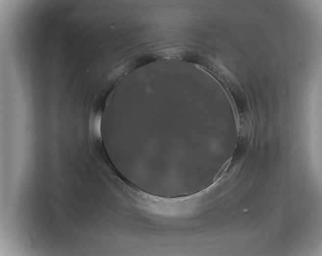 X0000112830047200908281540