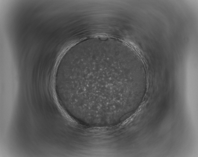 X0000112830049200908281540