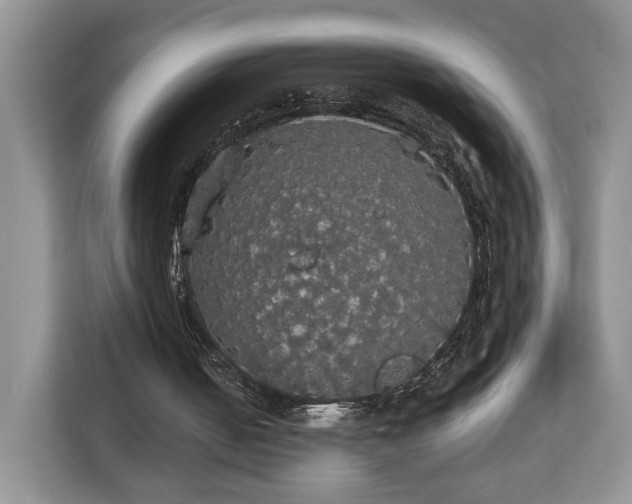 X0000112830050200908281540