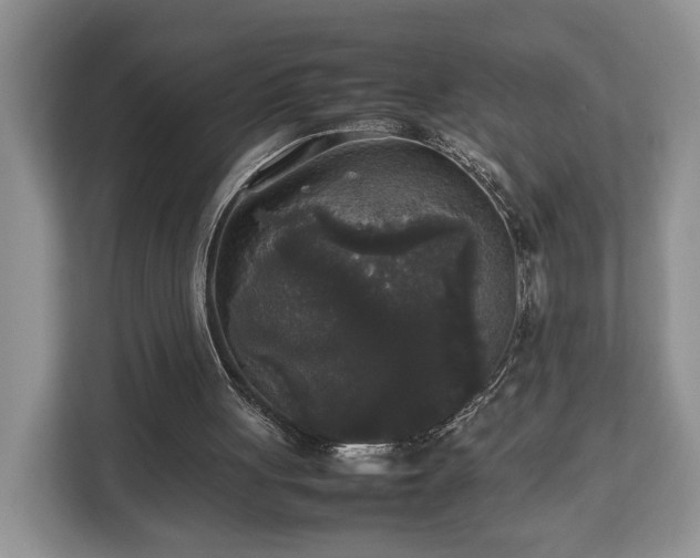 X0000112830051200908281540