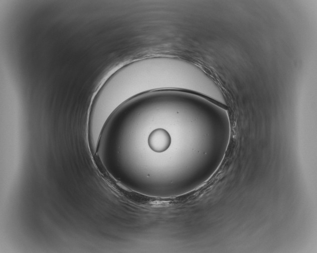 X0000112830052200908281540