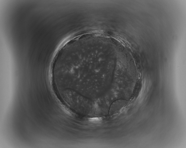 X0000112830053200908281540