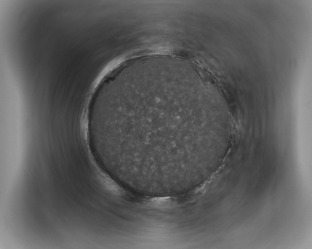 X0000112830054200908281540