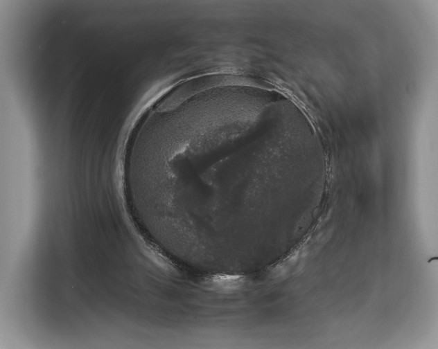 X0000112830055200908281540