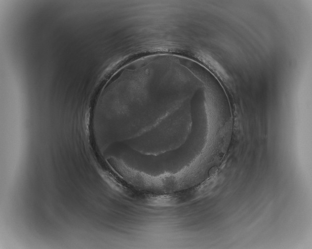 X0000112830058200908281540