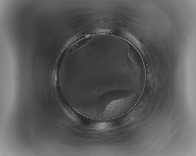 X0000112830059200908281540