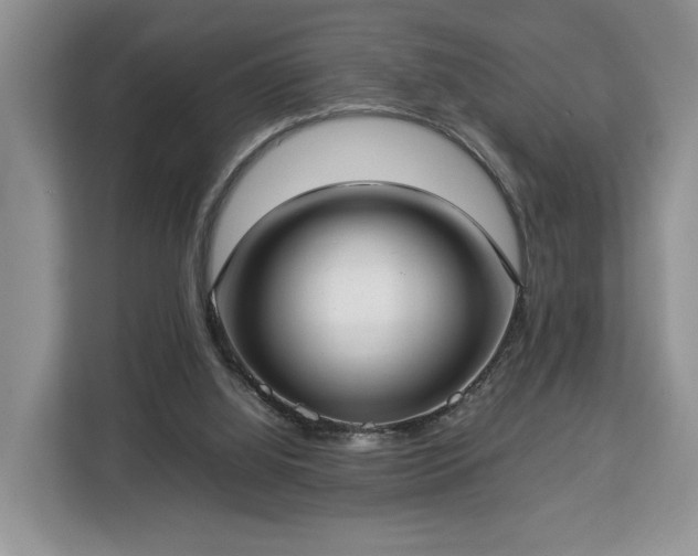 X0000112830060200908281540