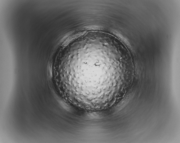 X0000112830062200908281540